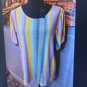 W5 Multicolor Striped Women's Top